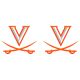 Color Shock Pair of V and Crossed Saber Decals