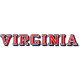 Color Shock VIRGINIA Outside Decal