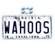 Vinyl WAHOOS License Plate Sticker
